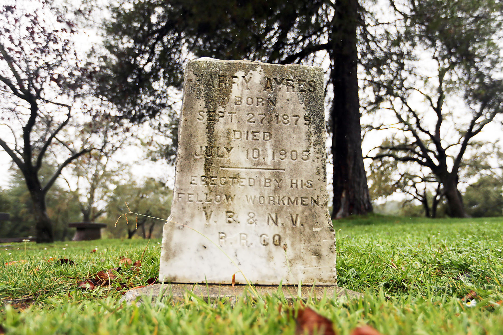 Tulocay Cemetery: Harry Ayres, 1879-1905